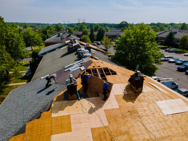 Best Flat Roof Repair Services  in Abbeville, GA