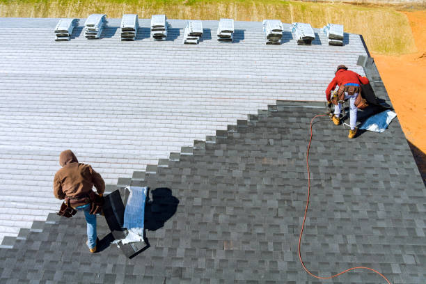 Best Gutter Installation and Roofing  in Abbeville, GA
