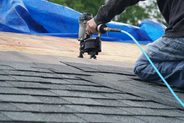 Best Roof Leak Repair  in Abbeville, GA
