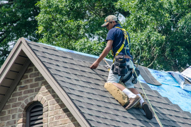 Quick and Trustworthy Emergency Roof Repair Services in Abbeville, GA